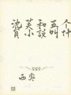 沈芙和五个消防员小说叫什么