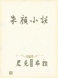朱颜小说