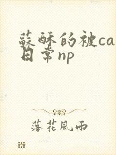 苏酥的被cao日常np