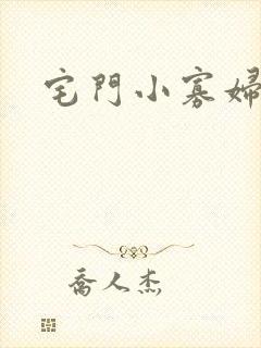 宅门小寡妇