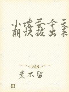 小坏蛋今天危险期快拔出来