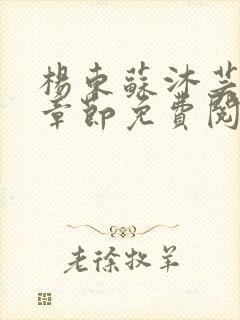 杨东苏沐芸最新章节免费阅读小说