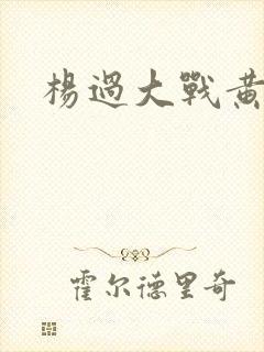 杨过大战黄蓉