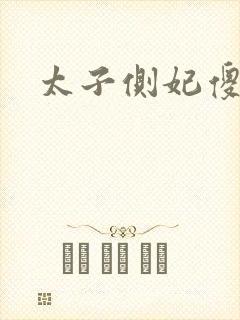 太子侧妃傻乎乎