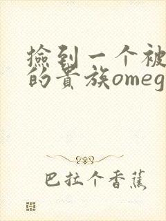 捡到一个被抹布的贵族omega