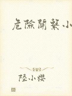 危险关系小说封面