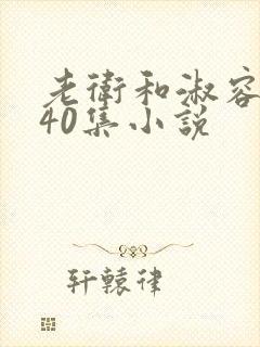 老卫和淑容1-40集小说封面