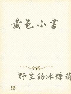 黄色小书