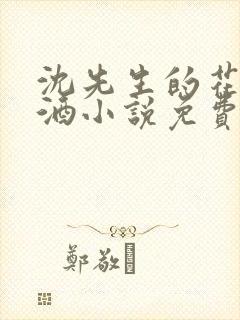 沈先生的花式调酒小说免费阅读