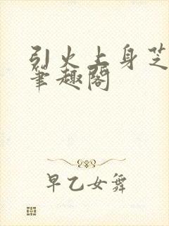 引火上身芝麻糖笔趣阁