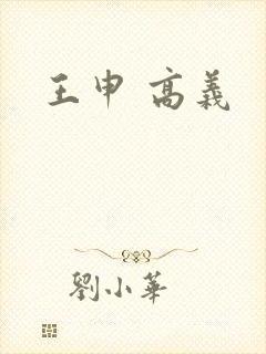 王申 高义