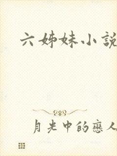 六姊妹小说