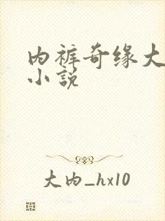 内裤奇缘大团结小说