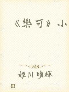《乐可》小说封面