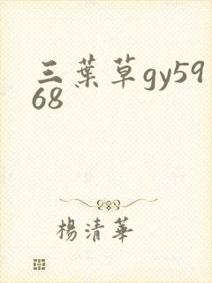 三叶草gy5968
