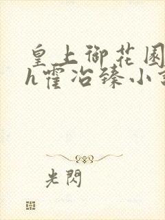 皇上御花园hlh霍冶臻小说封面