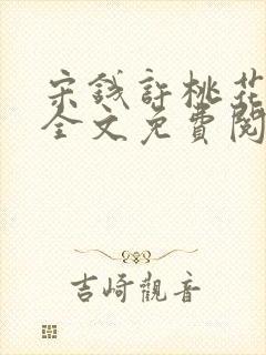 宋钱许桃花小说全文免费阅读封面