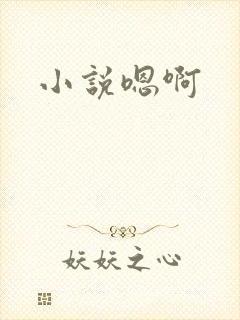 小说嗯啊