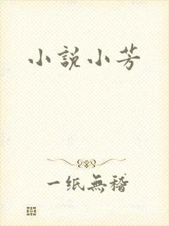 小说小芳