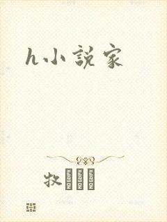 h小说家