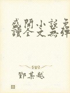 盛开小说免费阅读全文无弹窗