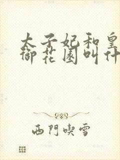 太子妃和皇帝在御花园叫什么小说封面