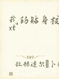 我的贴身校花txt