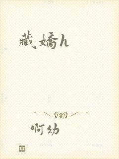 藏娇h封面