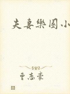 夫妻乐园小说