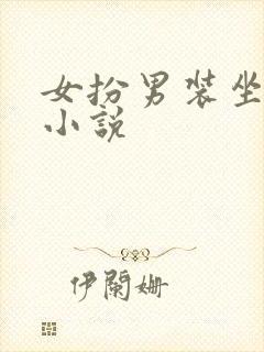 女扮男装坐江山小说