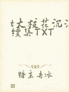 t大校花沉浮录续集TXT