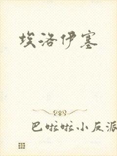 埃洛伊塞
