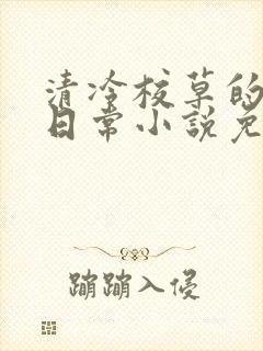 清冷校草的堕落日常小说免费阅读封面