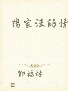 杨家洼的情事