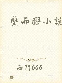 双面胶小说