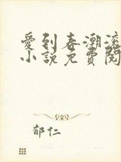 爱到春潮滚滚来小说免费阅读封面