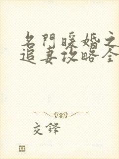 名门暖婚之权爷追妻攻略全文免费阅读