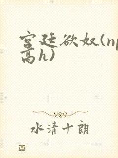 宫廷欲奴(np高h)