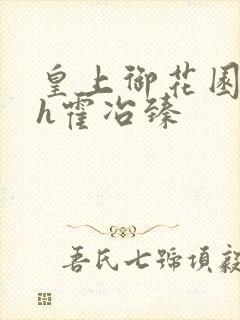 皇上御花园hlh霍冶臻封面