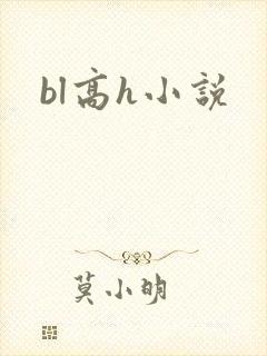 bl高h小说