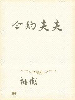 合约夫夫封面
