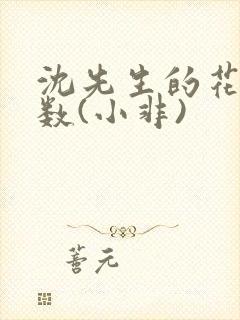 沈先生的花式调数(小非)