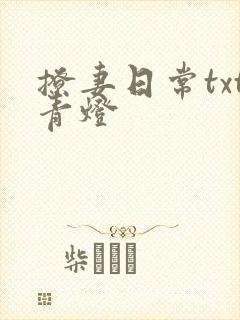 撩妻日常txt青灯