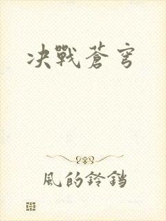决战苍穹封面