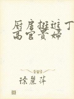 厨房挺进丁字裤高官贵妇