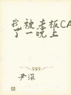 我被老板CAO了一晚上封面