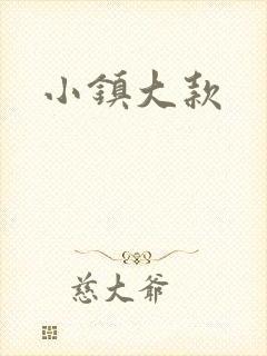 小镇大款封面