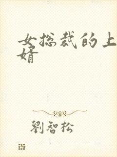 女总裁的上门女婿封面