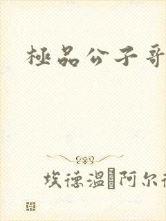 极品公子哥