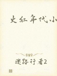 火红年代小说